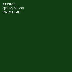 #123E14 - Palm Leaf Color Image